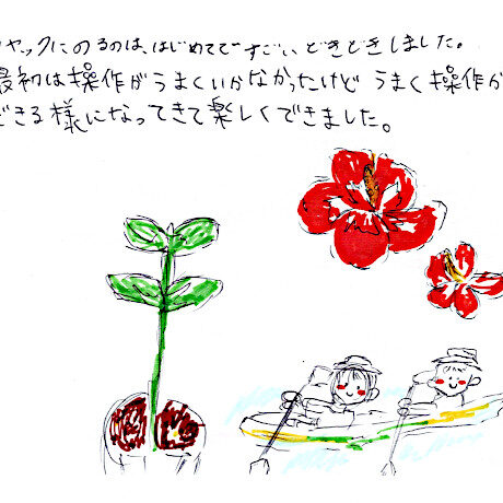 マングローブカヤックツアーのご感想