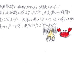 マングローブカヤックツアーのご感想