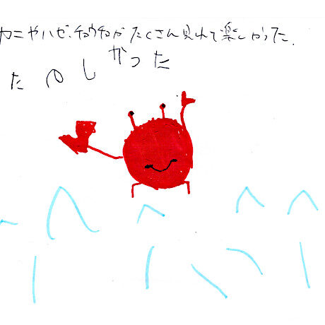 マングローブカヤックツアーのご感想