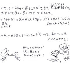 マングローブカヤックツアーのご感想