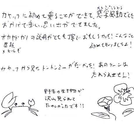 マングローブカヤックツアーのご感想