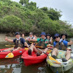 マングローブカヤックツアーのご感想