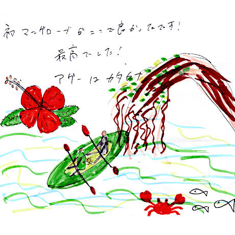 マングローブカヤックツアーのご感想