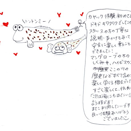 マングローブカヤックツアーのご感想