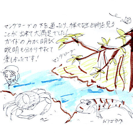 マングローブカヤックツアーのご感想