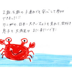 マングローブカヤックツアーのご感想
