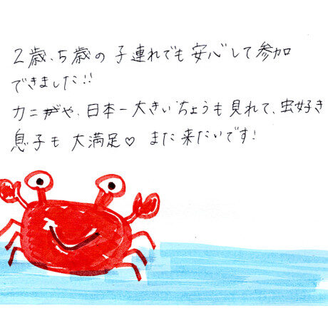 マングローブカヤックツアーのご感想