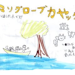 マングローブカヤックツアーのご感想