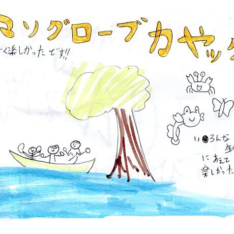 マングローブカヤックツアーのご感想