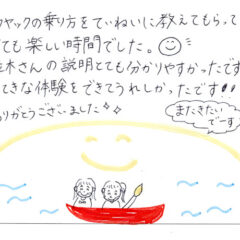 マングローブカヤックツアーのご感想