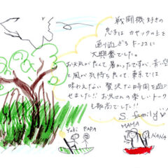 マングローブカヤックツアーのご感想