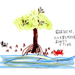 マングローブカヤックツアーのご感想