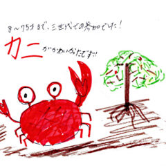 マングローブカヤックツアーのご感想