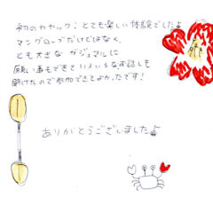 マングローブカヤックツアーのご感想