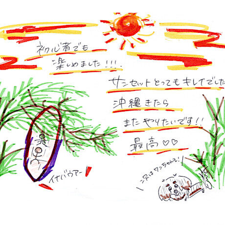 サンセットカヤックツアーのご感想