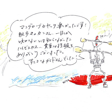 マングローブカヤックツアーのご感想
