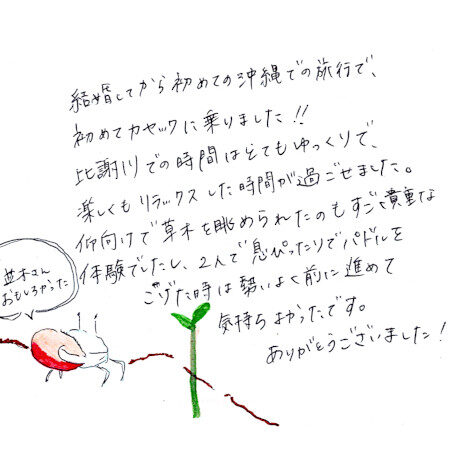 マングローブカヤックツアーのご感想