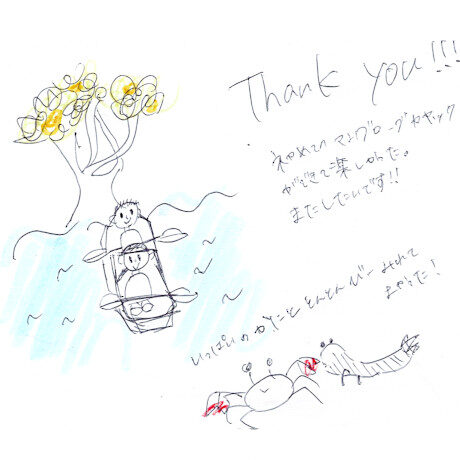 マングローブカヤックツアーのご感想