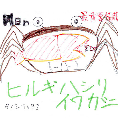 マングローブカヤックツアーのご感想
