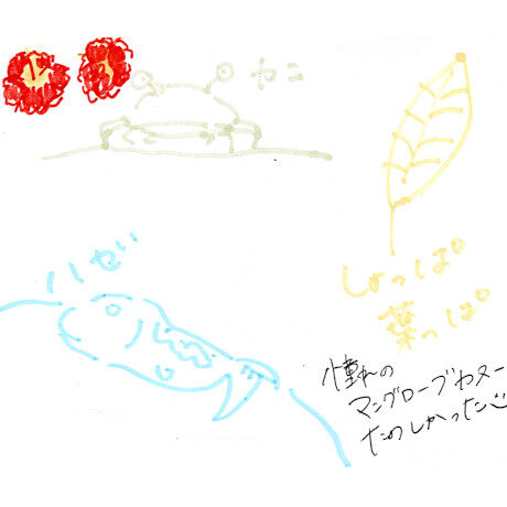 マングローブカヤックツアーのご感想