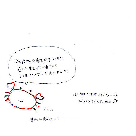 マングローブカヤックツアーのご感想