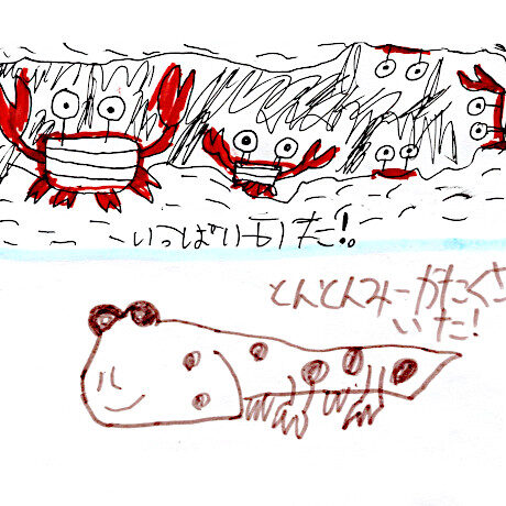 マングローブカヤックツアーのご感想
