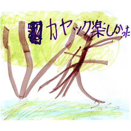 マングローブカヤックツアーのご感想