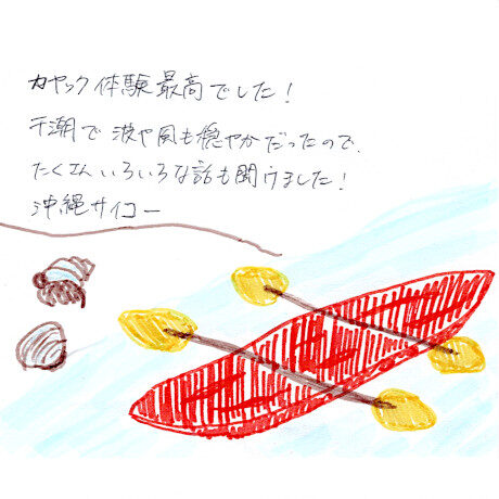 マングローブカヤックツアーのご感想