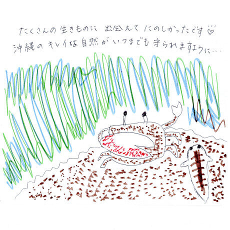 マングローブカヤックツアーのご感想
