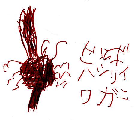 マングローブカヤックのご感想