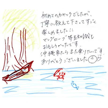マングローブカヤックのご感想