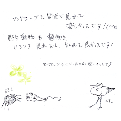 マングローブカヤックのご感想