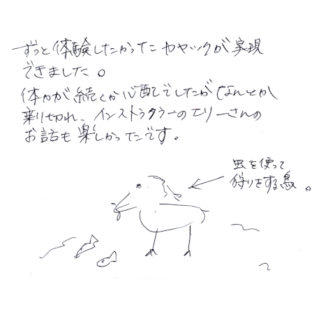 マングローブカヤックのご感想