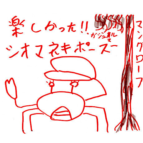 マングローブカヤックツアーのご感想