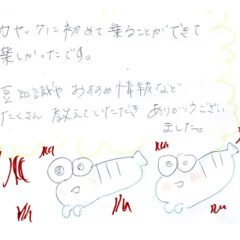 マングローブカヤックツアーのご感想