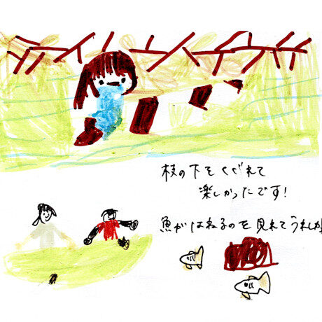 マングローブカヤックツアーのご感想