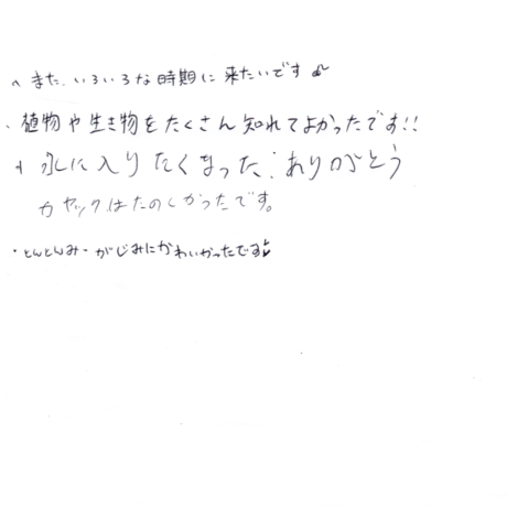 マングローブカヤックツアーのご感想