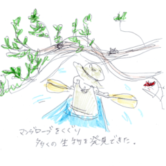 マングローブカヤックツアーのご感想