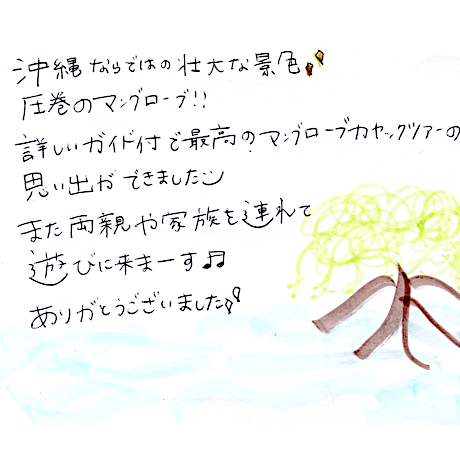 マングローブカヤックツアーのご感想