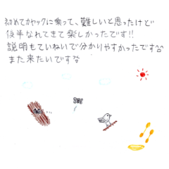 マングローブカヤックツアーのご感想