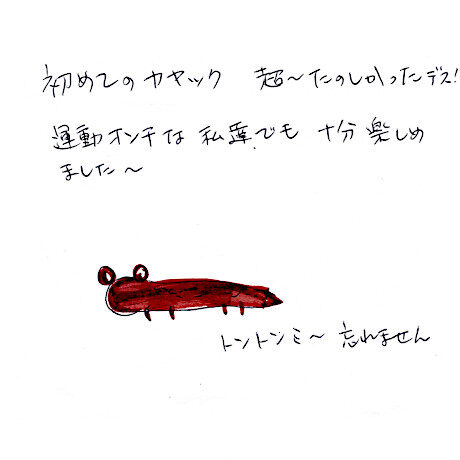 マングローブカヤックツアーのご感想
