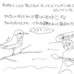 マングローブカヤックのご感想