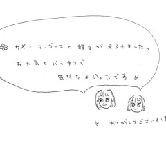 マングローブカヤックのご感想