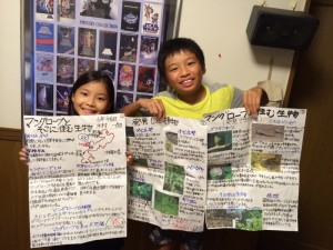 マングローブの自由研究完成